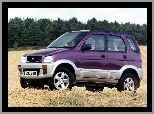 Fioletowe, Daihatsu Terios, Wersja, Poprzednia