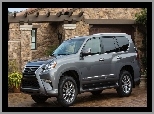 Dom, Lexus, GX 460