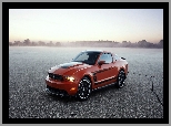 Ford Mustang Boss 302, 2012