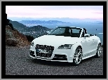 Roadster, Audi TT